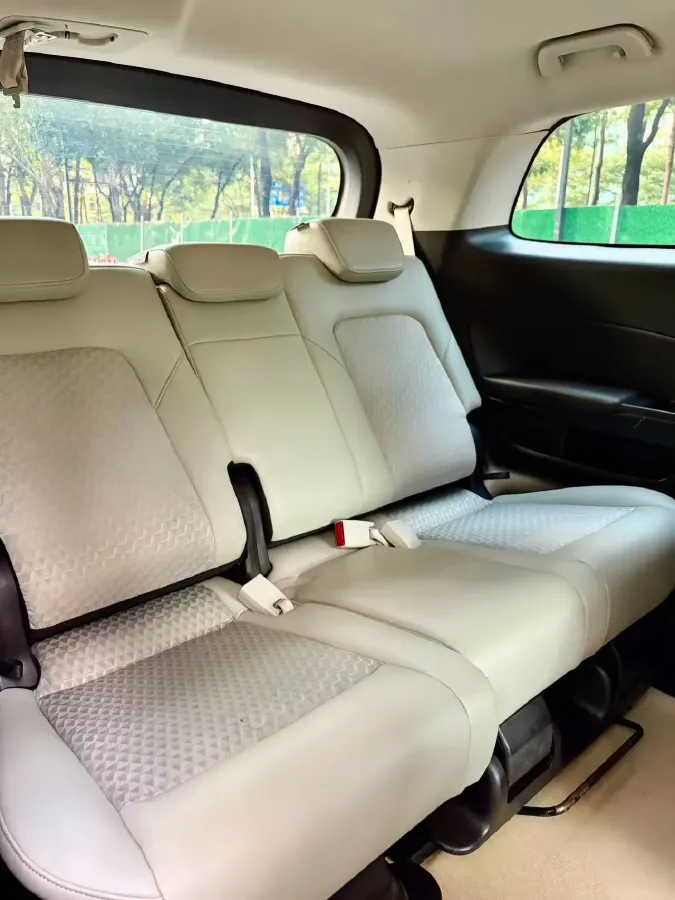 2023 GAC Trumpchi M8 2.0T 252HP L4 8AT,autocango,china used car exporter,china ev exporter,chinese used car exporter,chinese used ev exporter