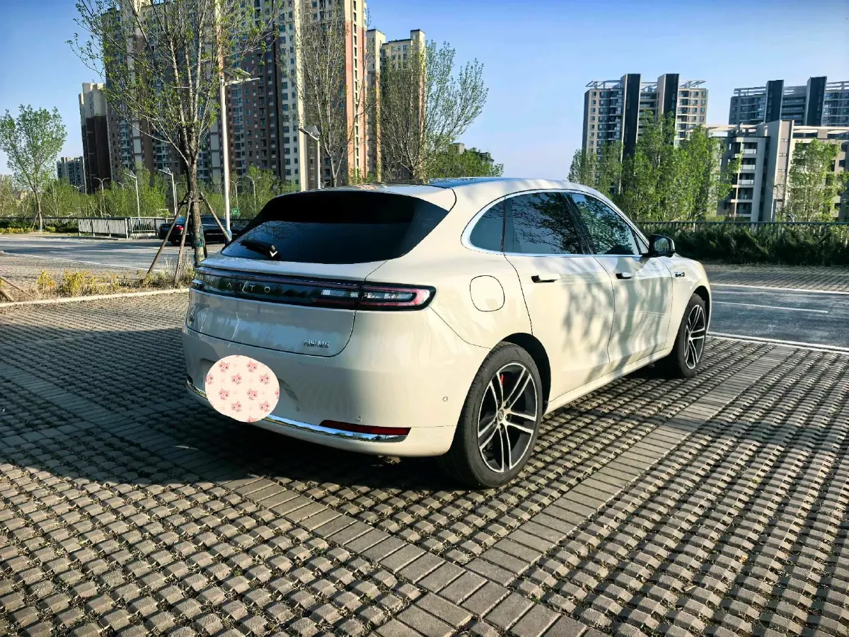 2025 AITO AITO M5 1.5T 152HP L4 REEV 42KWH,autocango,china used car exporter,china ev exporter,chinese used car exporter,chinese used ev exporter