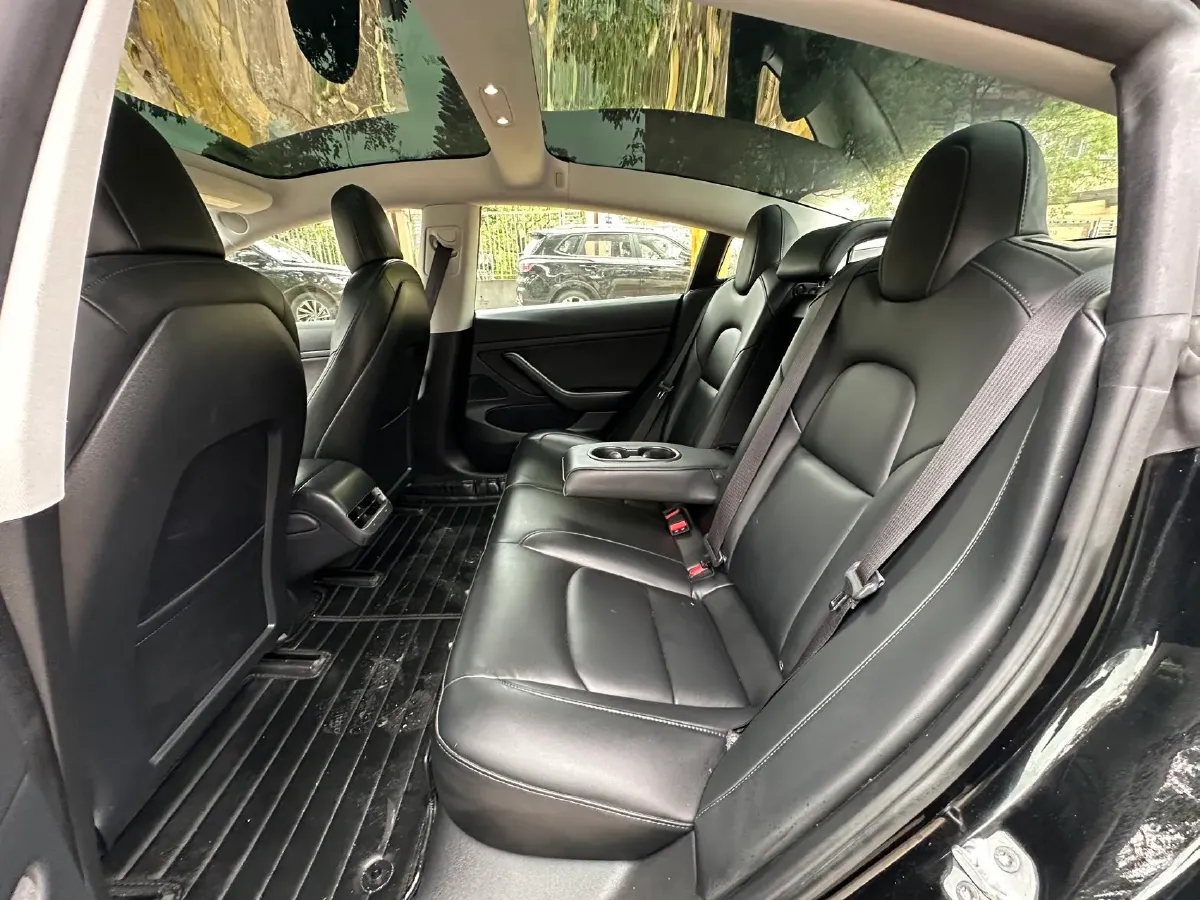 2020 Tesla Model 3 BEV 55KWH,autocango,china used car exporter,china ev exporter,chinese used car exporter,chinese used ev exporter