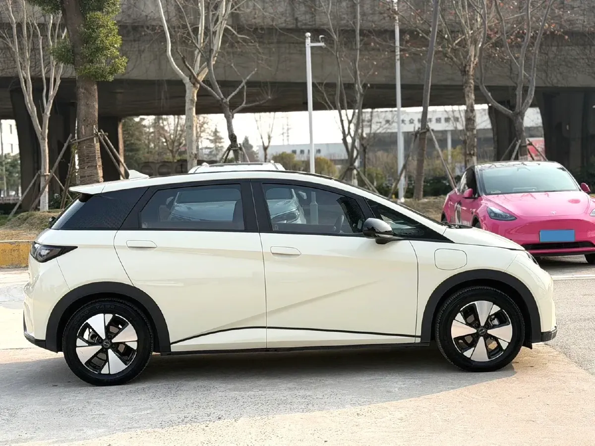 2023 BYD Dolphin BEV 44.928KWH,autocango,china used car exporter,china ev exporter,chinese used car exporter,chinese used ev exporter