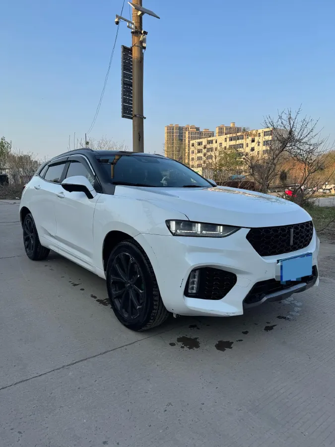 2019 WEY VV7 2.0T 234HP L4 7DCT,autocango,china used car exporter,china ev exporter,chinese used car exporter,chinese used ev exporter