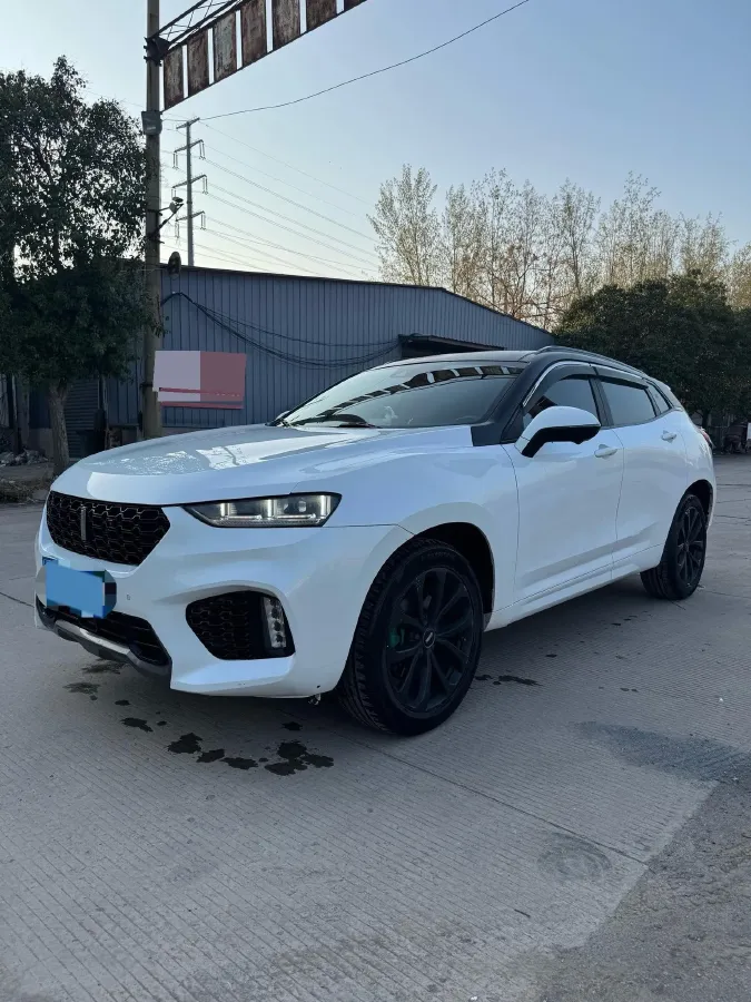 2019 WEY VV7 2.0T 234HP L4 7DCT,autocango,china used car exporter,china ev exporter,chinese used car exporter,chinese used ev exporter