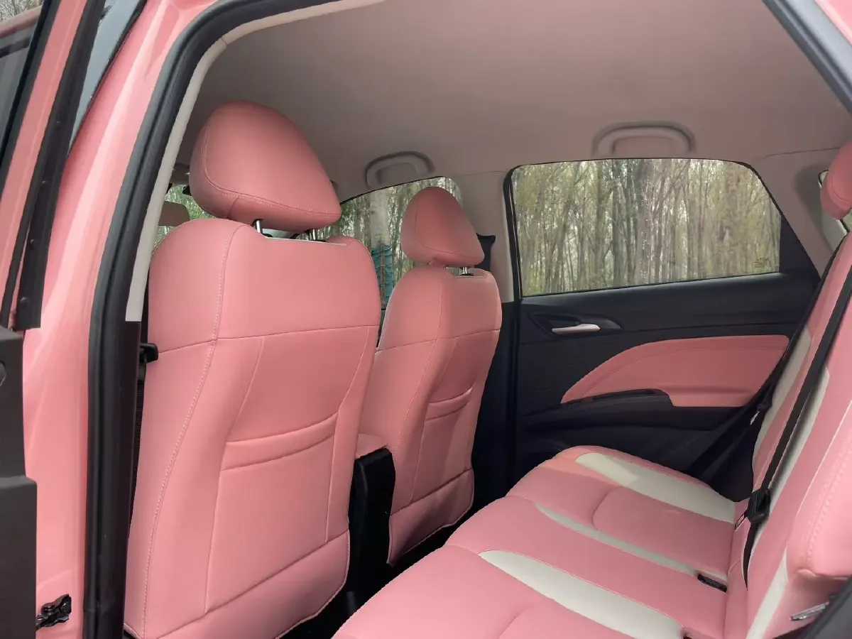 2021 Neta V BEV 38.54KWH,autocango,china used car exporter,china ev exporter,chinese used car exporter,chinese used ev exporter