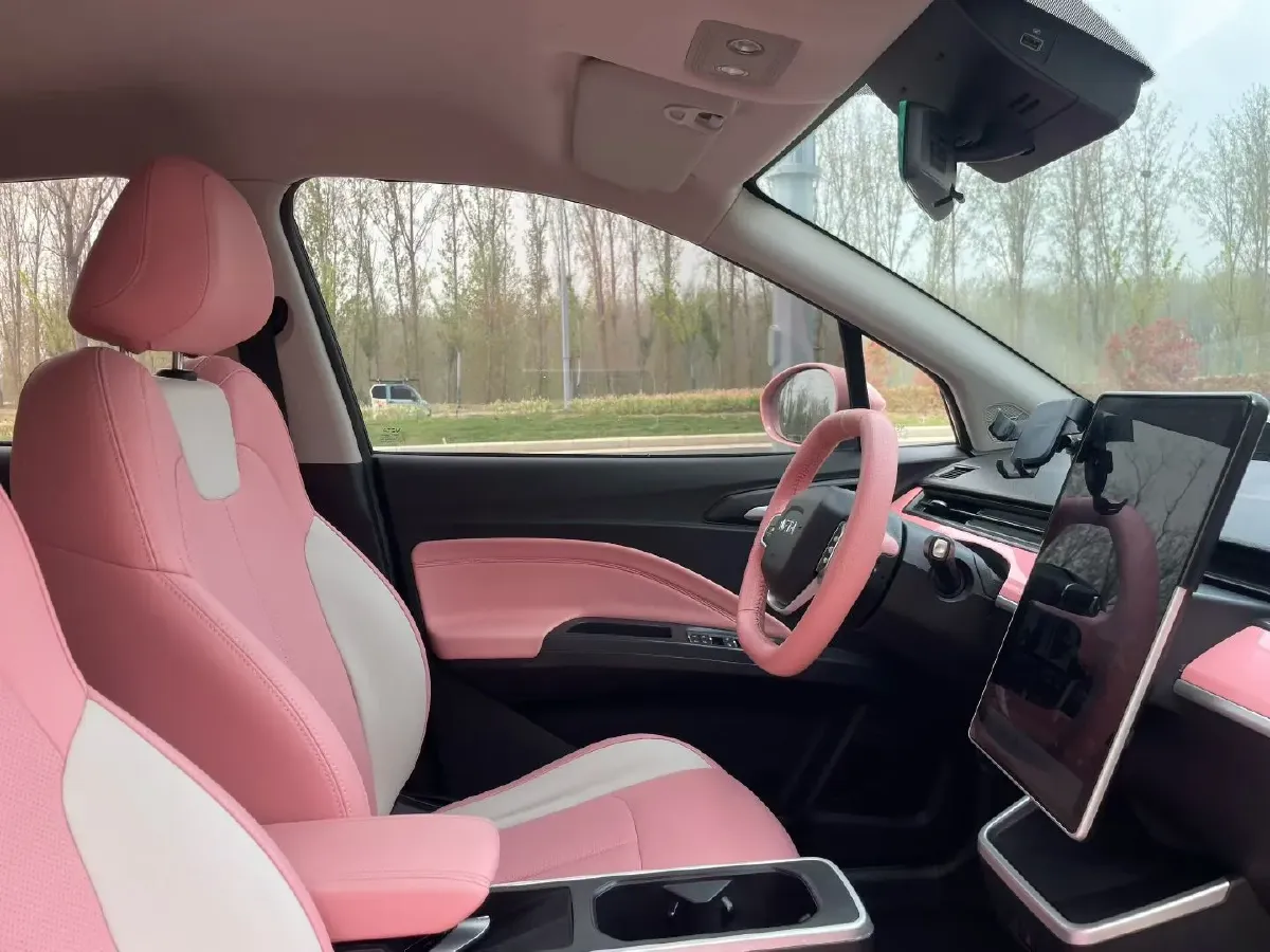 2021 Neta V BEV 38.54KWH,autocango,china used car exporter,china ev exporter,chinese used car exporter,chinese used ev exporter