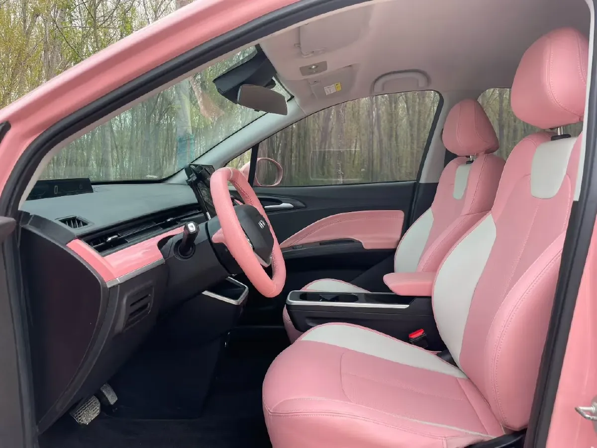 2021 Neta V BEV 38.54KWH,autocango,china used car exporter,china ev exporter,chinese used car exporter,chinese used ev exporter