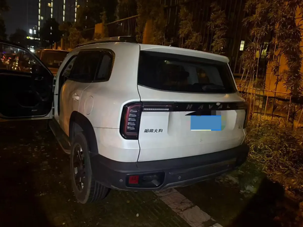 2021 Haval Dargo 2.0T 211HP L4 7DCT,autocango,china used car exporter,china ev exporter,chinese used car exporter,chinese used ev exporter