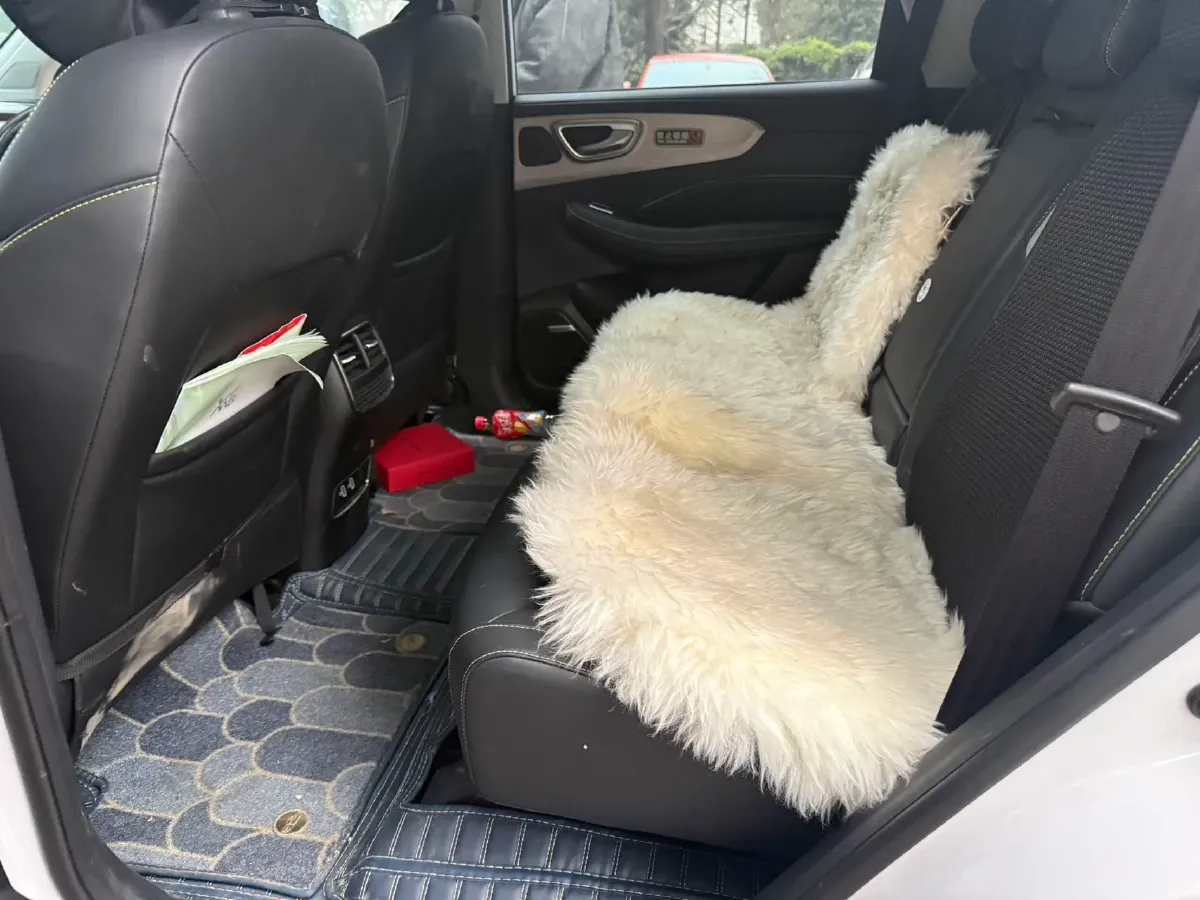 2020 Roewe RX5 1.5T 169HP L4 AMT PHEV 11.1KWH,autocango,china used car exporter,china ev exporter,chinese used car exporter,chinese used ev exporter