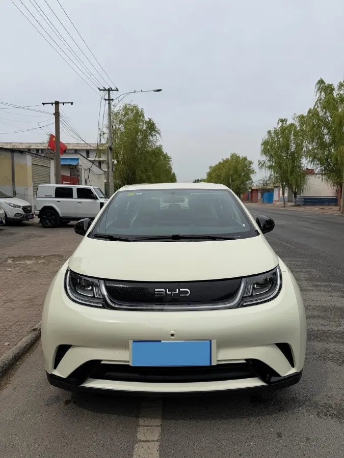 2025 BYD Dolphin BEV 44.928KWH,autocango,china used car exporter,china ev exporter,chinese used car exporter,chinese used ev exporter
