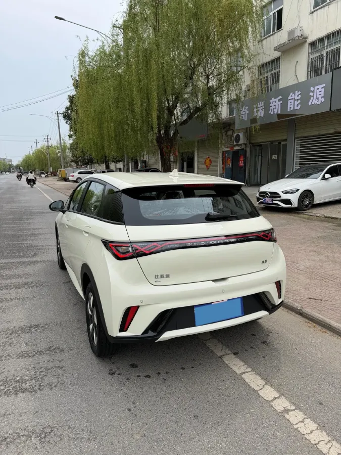 2025 BYD Dolphin BEV 44.928KWH,autocango,china used car exporter,china ev exporter,chinese used car exporter,chinese used ev exporter