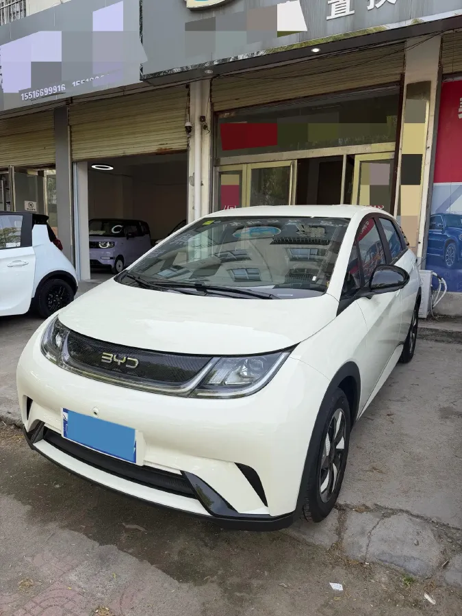 2025 BYD Dolphin BEV 44.928KWH,autocango,china used car exporter,china ev exporter,chinese used car exporter,chinese used ev exporter