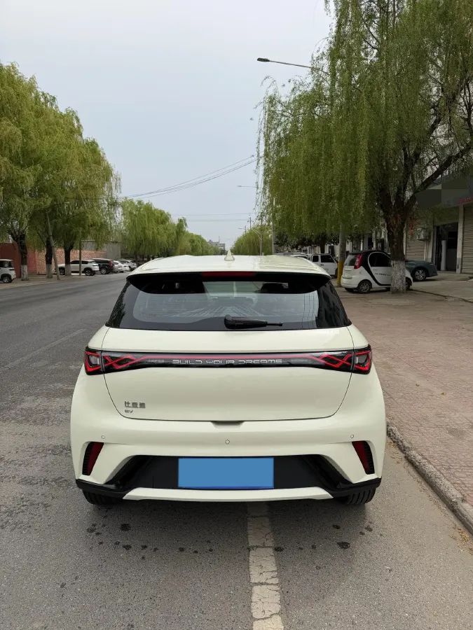 2025 BYD Dolphin BEV 44.928KWH,autocango,china used car exporter,china ev exporter,chinese used car exporter,chinese used ev exporter
