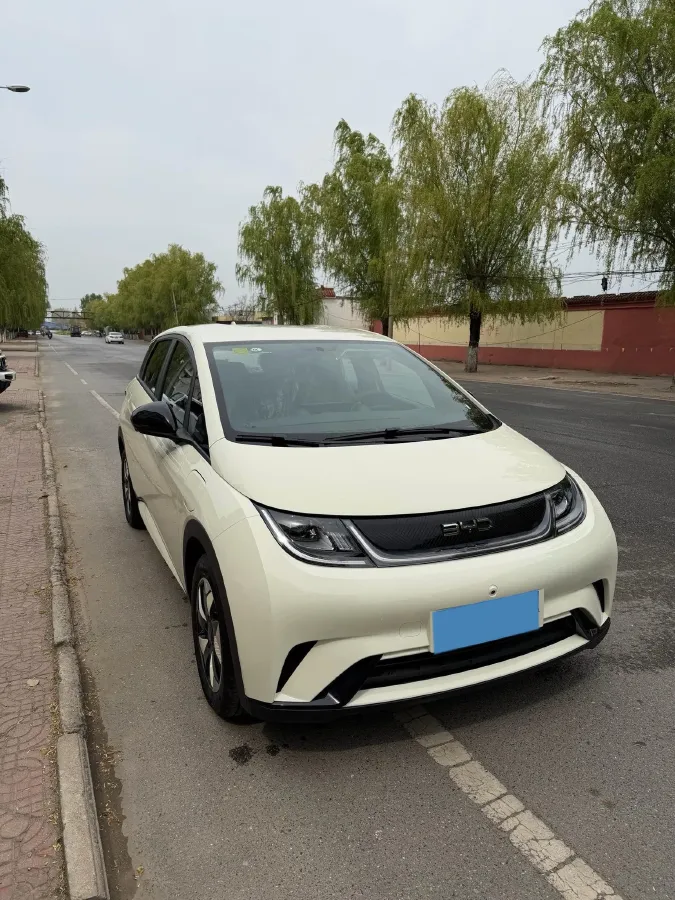 2025 BYD Dolphin BEV 44.928KWH,autocango,china used car exporter,china ev exporter,chinese used car exporter,chinese used ev exporter