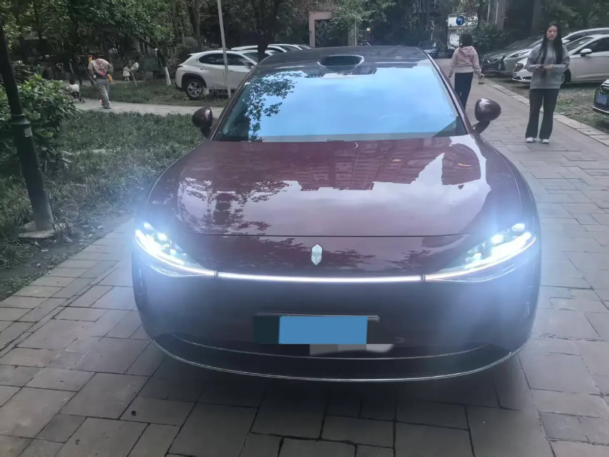 2025 HIMA Stelato S9T REEV 160HP REEV,autocango,china used car exporter,china ev exporter,chinese used car exporter,chinese used ev exporter
