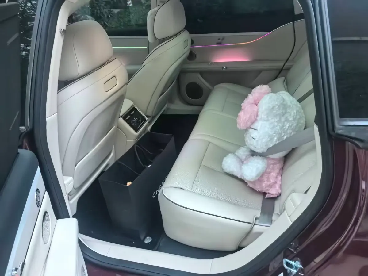 2025 HIMA Stelato S9T REEV 160HP REEV,autocango,china used car exporter,china ev exporter,chinese used car exporter,chinese used ev exporter