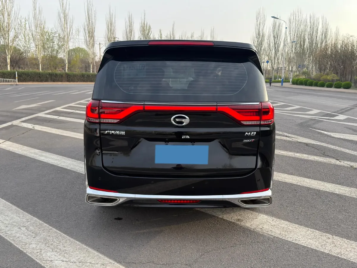 2023 GAC Trumpchi M8 2.0T 252HP L4 8AT,autocango,china used car exporter,china ev exporter,chinese used car exporter,chinese used ev exporter