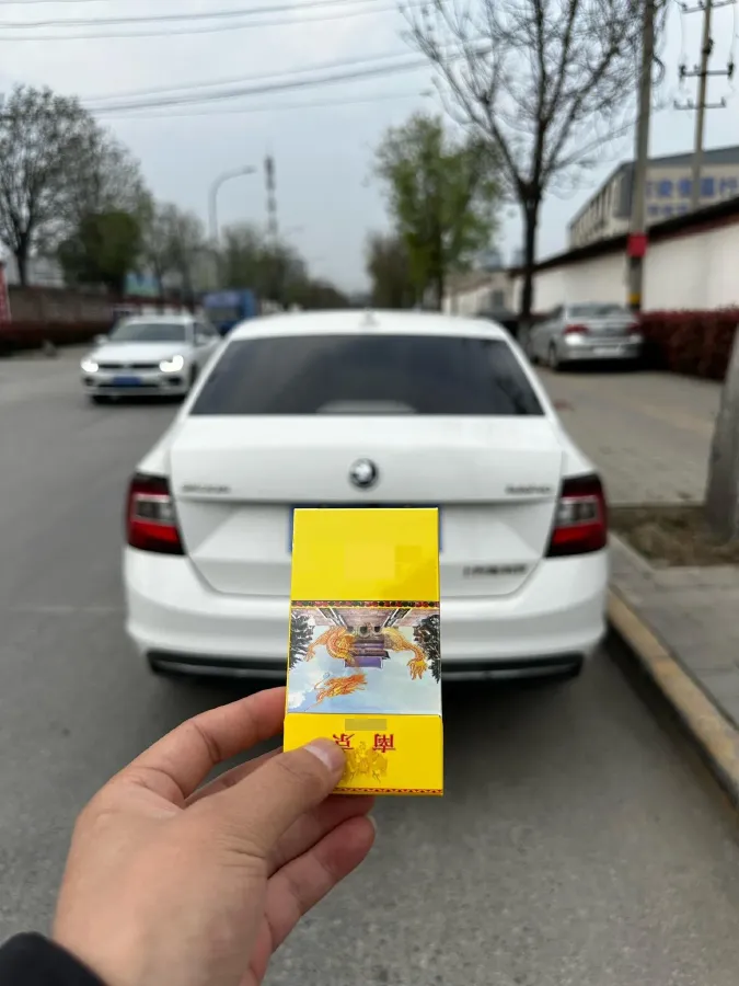 2019 SWM G01 1.5T 156HP L4 6MT,autocango,china used car exporter,china ev exporter,chinese used car exporter,chinese used ev exporter