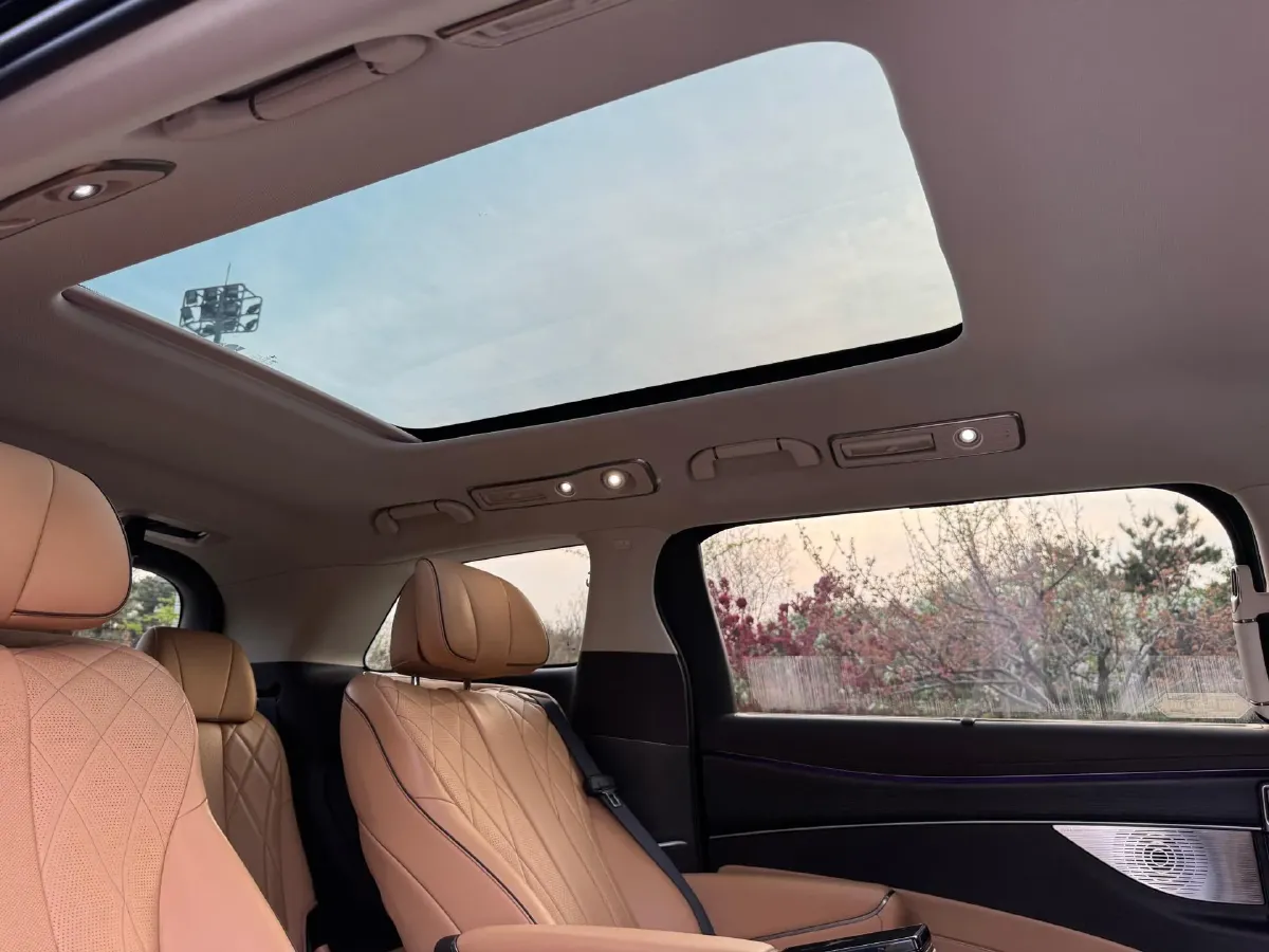 2024 Denza D9 1.5T 139HP L4 E-CVT PHEV 40KWH,autocango,china used car exporter,china ev exporter,chinese used car exporter,chinese used ev exporter