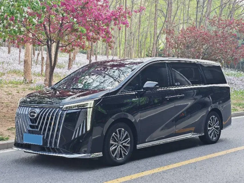 2024 GAC Trumpchi M8 2.0T 252HP L4 8AT,autocango,china used car exporter,china ev exporter,chinese used car exporter,chinese used ev exporter