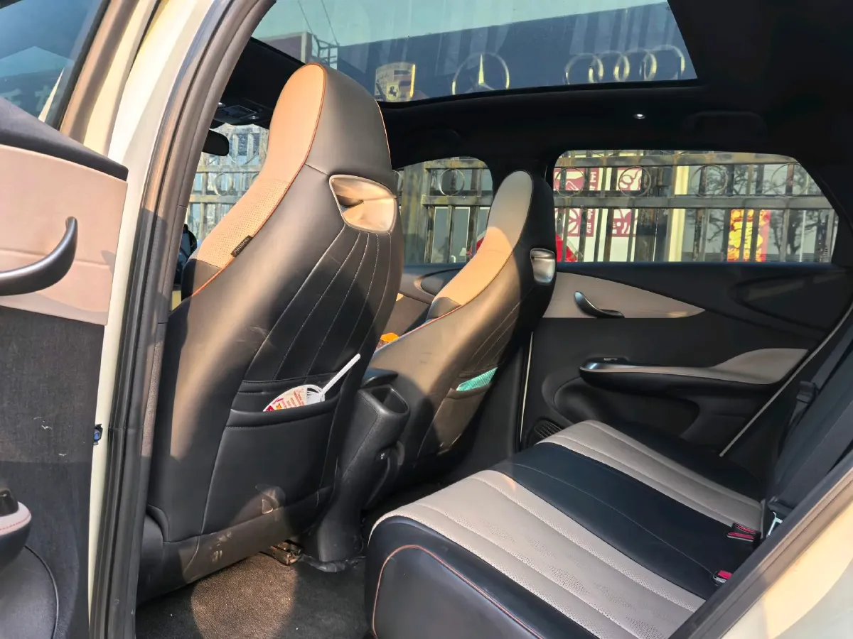 2023 BYD Dolphin BEV 44.928KWH,autocango,china used car exporter,china ev exporter,chinese used car exporter,chinese used ev exporter