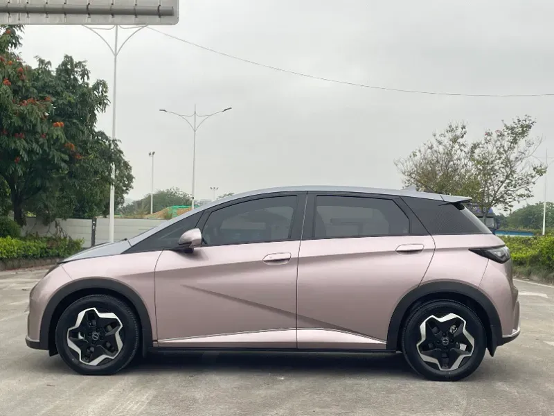 2021 BYD Yuan Pro BEV 50.1KWH,autocango,china used car exporter,china ev exporter,chinese used car exporter,chinese used ev exporter