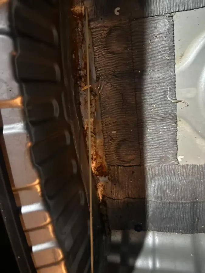 2023 Aion Y BEV 69.98KWH,autocango,china used car exporter,china ev exporter,chinese used car exporter,chinese used ev exporter