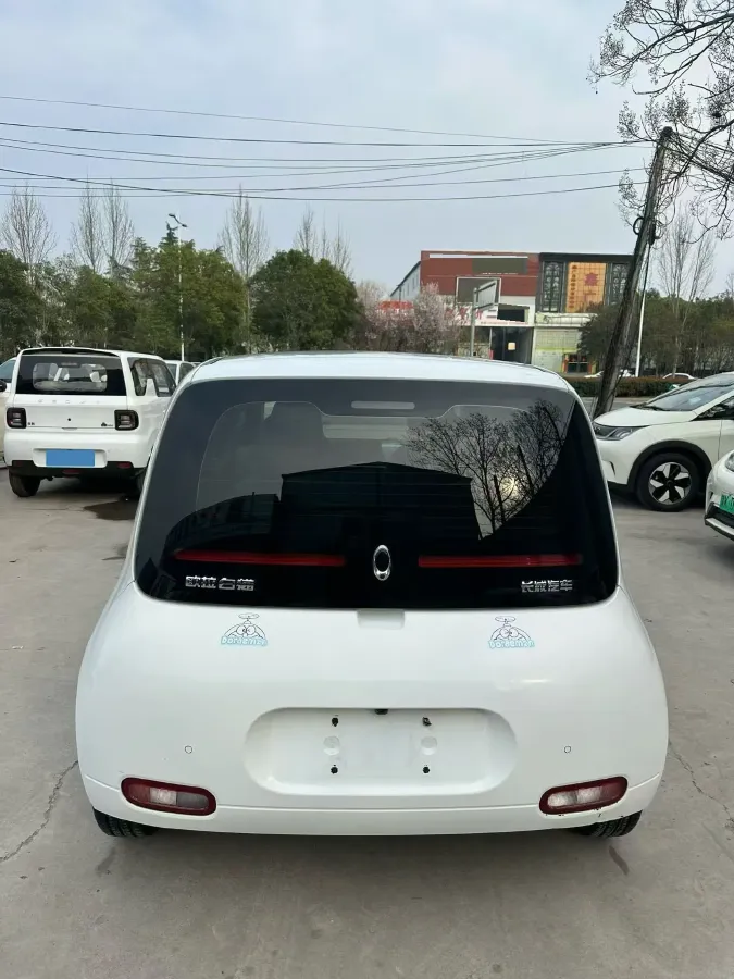 2020 Ora WhiteCat BEV 29.4KWH,autocango,china used car exporter,china ev exporter,chinese used car exporter,chinese used ev exporter