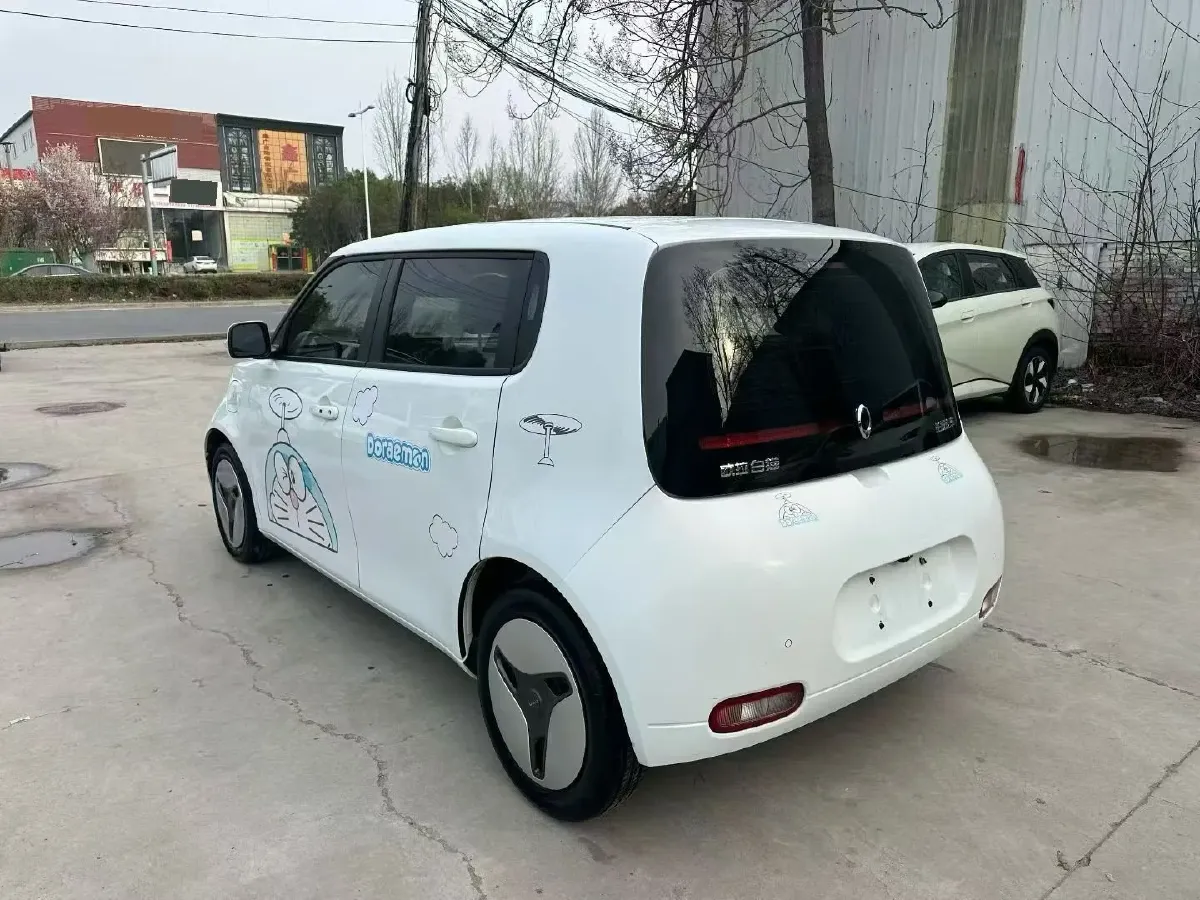 2020 Ora WhiteCat BEV 29.4KWH,autocango,china used car exporter,china ev exporter,chinese used car exporter,chinese used ev exporter
