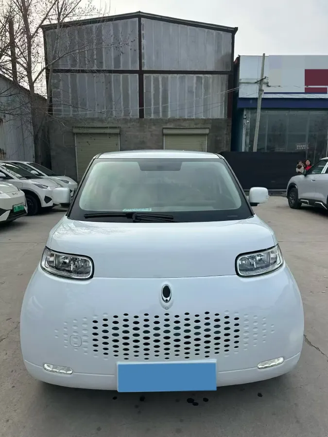 2020 Ora WhiteCat BEV 29.4KWH,autocango,china used car exporter,china ev exporter,chinese used car exporter,chinese used ev exporter