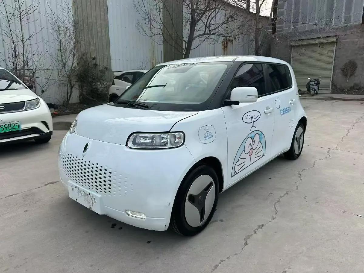 2020 Ora WhiteCat BEV 29.4KWH,autocango,china used car exporter,china ev exporter,chinese used car exporter,chinese used ev exporter