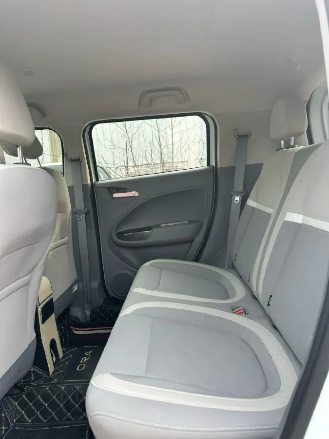 2020 Ora WhiteCat BEV 29.4KWH,autocango,china used car exporter,china ev exporter,chinese used car exporter,chinese used ev exporter