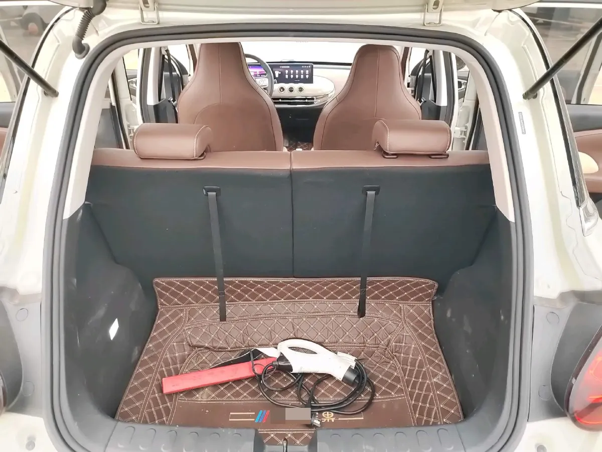 2023 WuLing BinGuo BEV 31.9KWH,autocango,china used car exporter,china ev exporter,chinese used car exporter,chinese used ev exporter