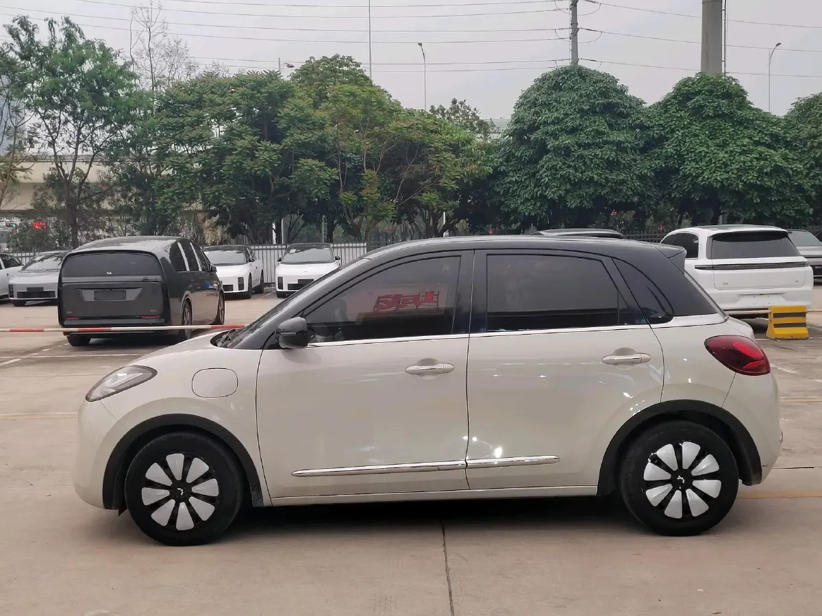 2023 WuLing BinGuo BEV 31.9KWH,autocango,china used car exporter,china ev exporter,chinese used car exporter,chinese used ev exporter