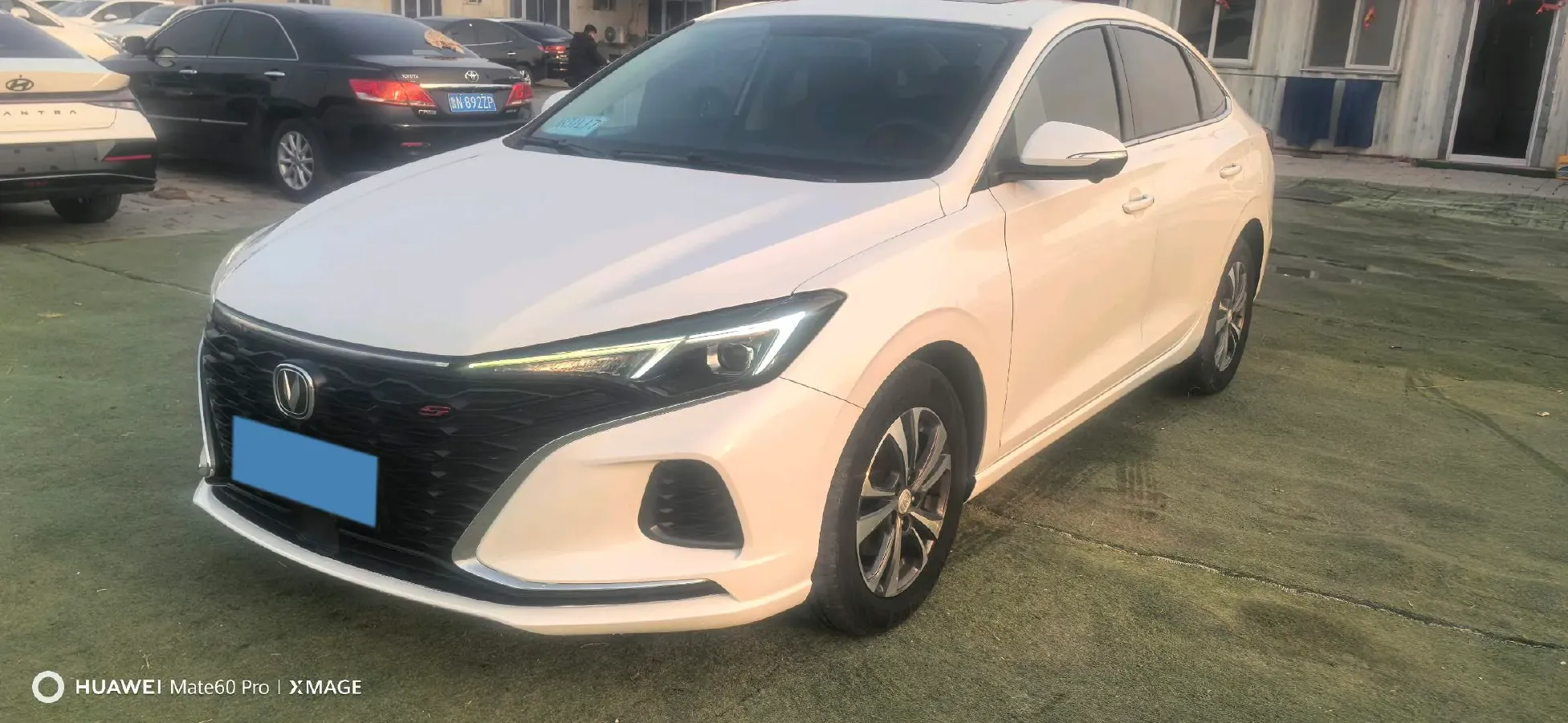 2021 ChangAn Eado 1.4T 160HP L4 7DCT,autocango,china used car exporter,china ev exporter,chinese used car exporter,chinese used ev exporter