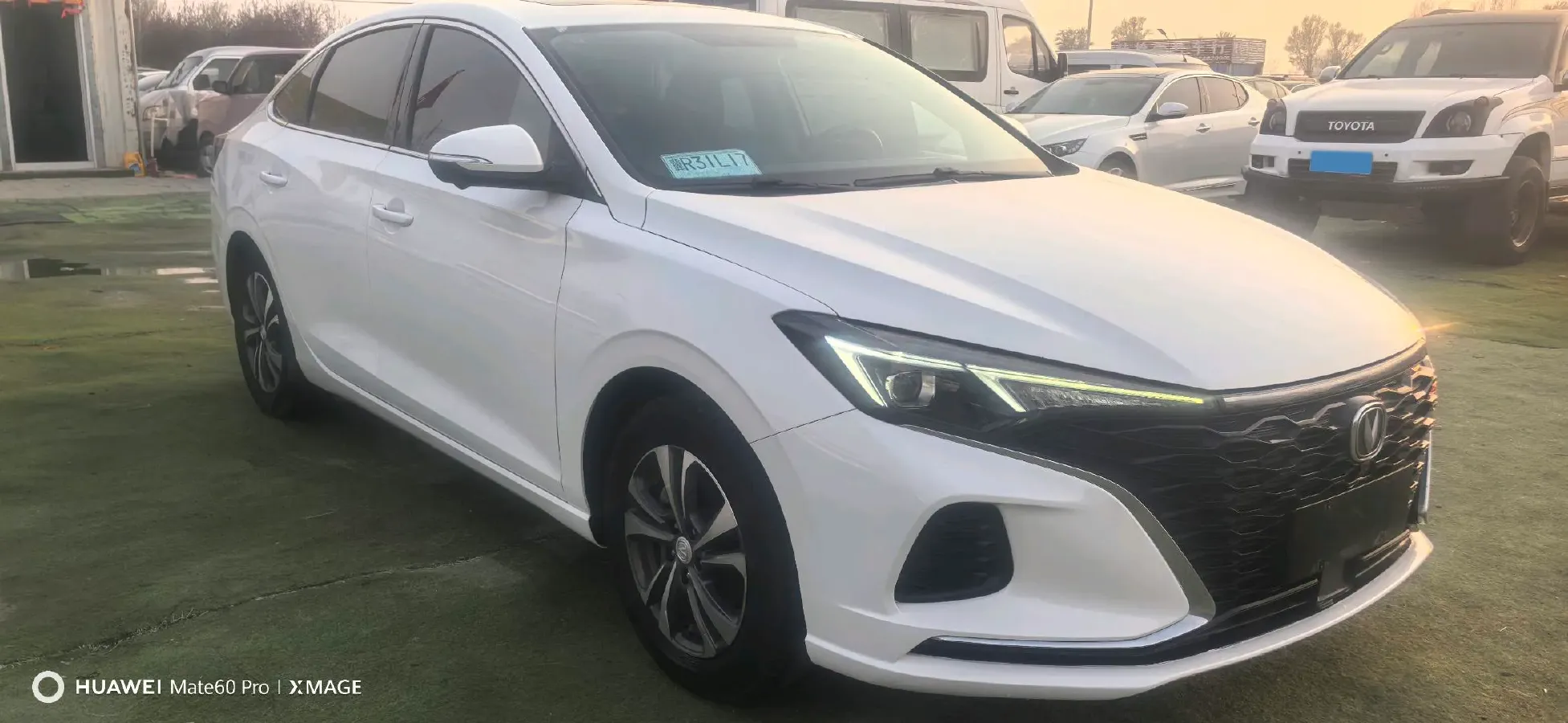 2021 ChangAn Eado 1.4T 160HP L4 7DCT,autocango,china used car exporter,china ev exporter,chinese used car exporter,chinese used ev exporter