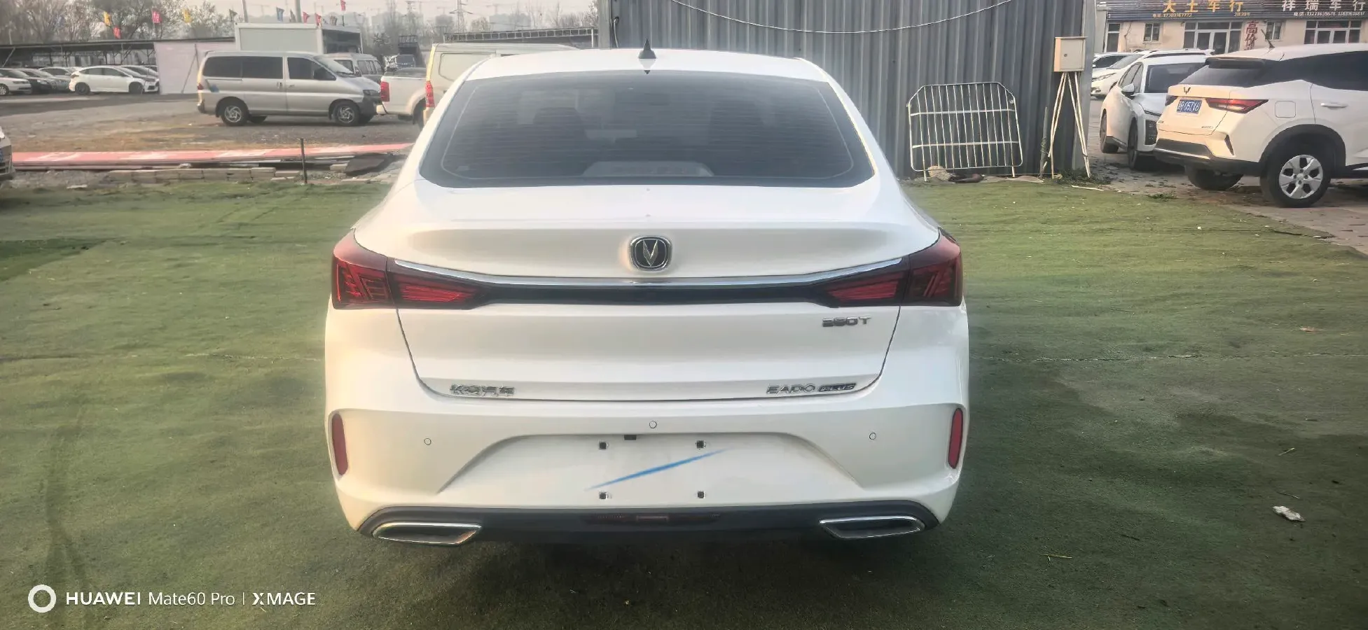 2021 ChangAn Eado 1.4T 160HP L4 7DCT,autocango,china used car exporter,china ev exporter,chinese used car exporter,chinese used ev exporter