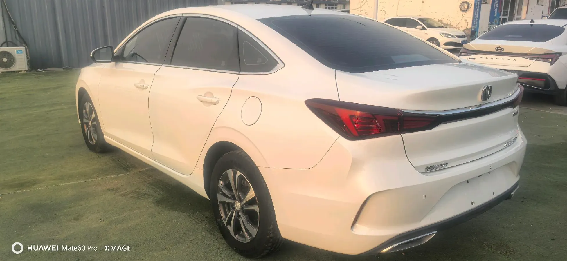 2021 ChangAn Eado 1.4T 160HP L4 7DCT,autocango,china used car exporter,china ev exporter,chinese used car exporter,chinese used ev exporter