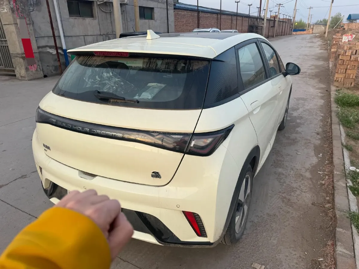 2023 BYD Dolphin BEV 44.928KWH,autocango,china used car exporter,china ev exporter,chinese used car exporter,chinese used ev exporter