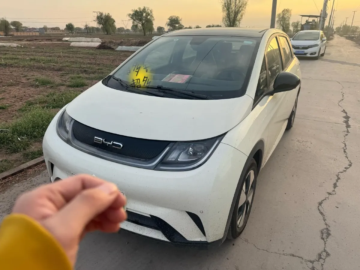 2023 BYD Dolphin BEV 44.928KWH,autocango,china used car exporter,china ev exporter,chinese used car exporter,chinese used ev exporter