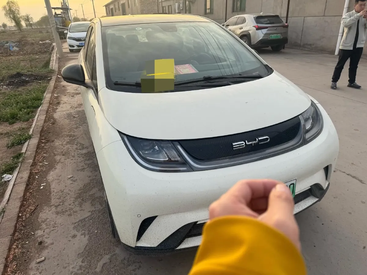 2023 BYD Dolphin BEV 44.928KWH,autocango,china used car exporter,china ev exporter,chinese used car exporter,chinese used ev exporter