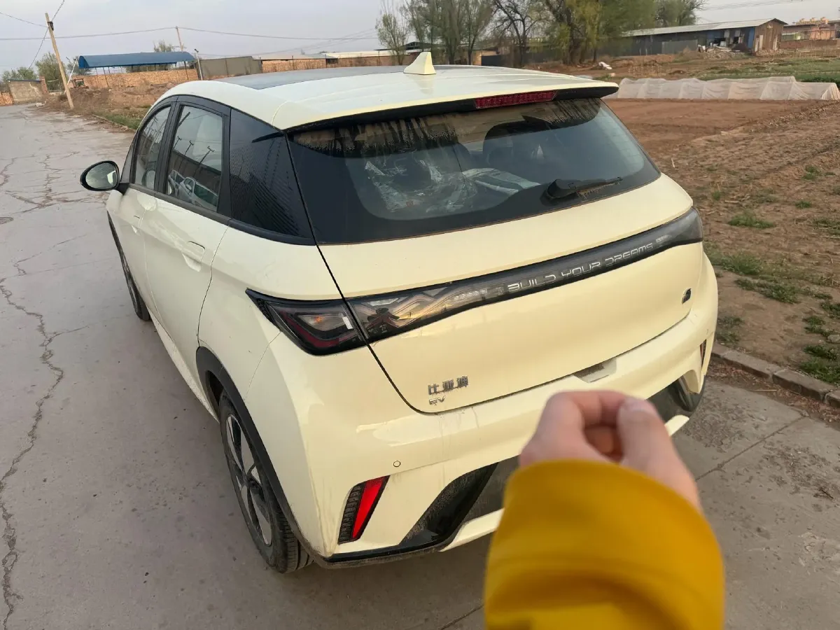 2023 BYD Dolphin BEV 44.928KWH,autocango,china used car exporter,china ev exporter,chinese used car exporter,chinese used ev exporter