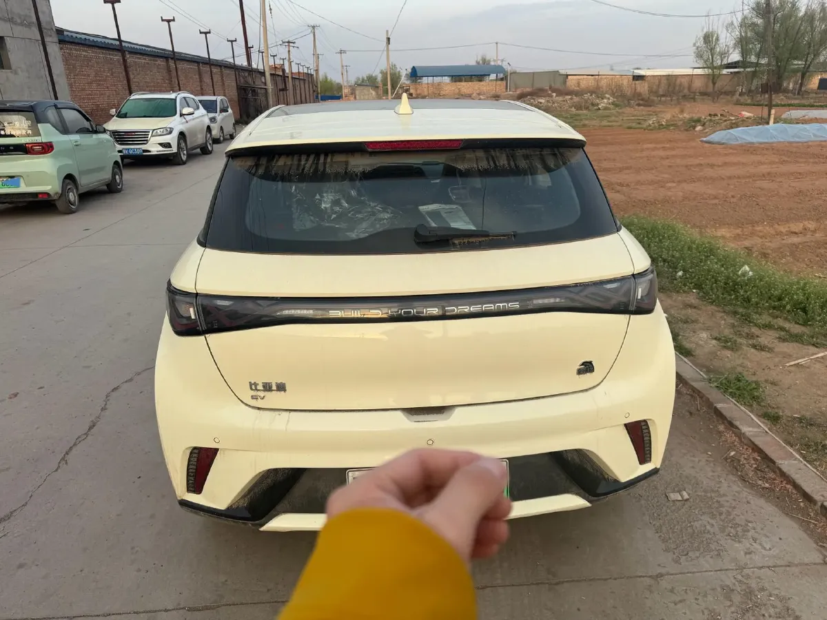 2023 BYD Dolphin BEV 44.928KWH,autocango,china used car exporter,china ev exporter,chinese used car exporter,chinese used ev exporter