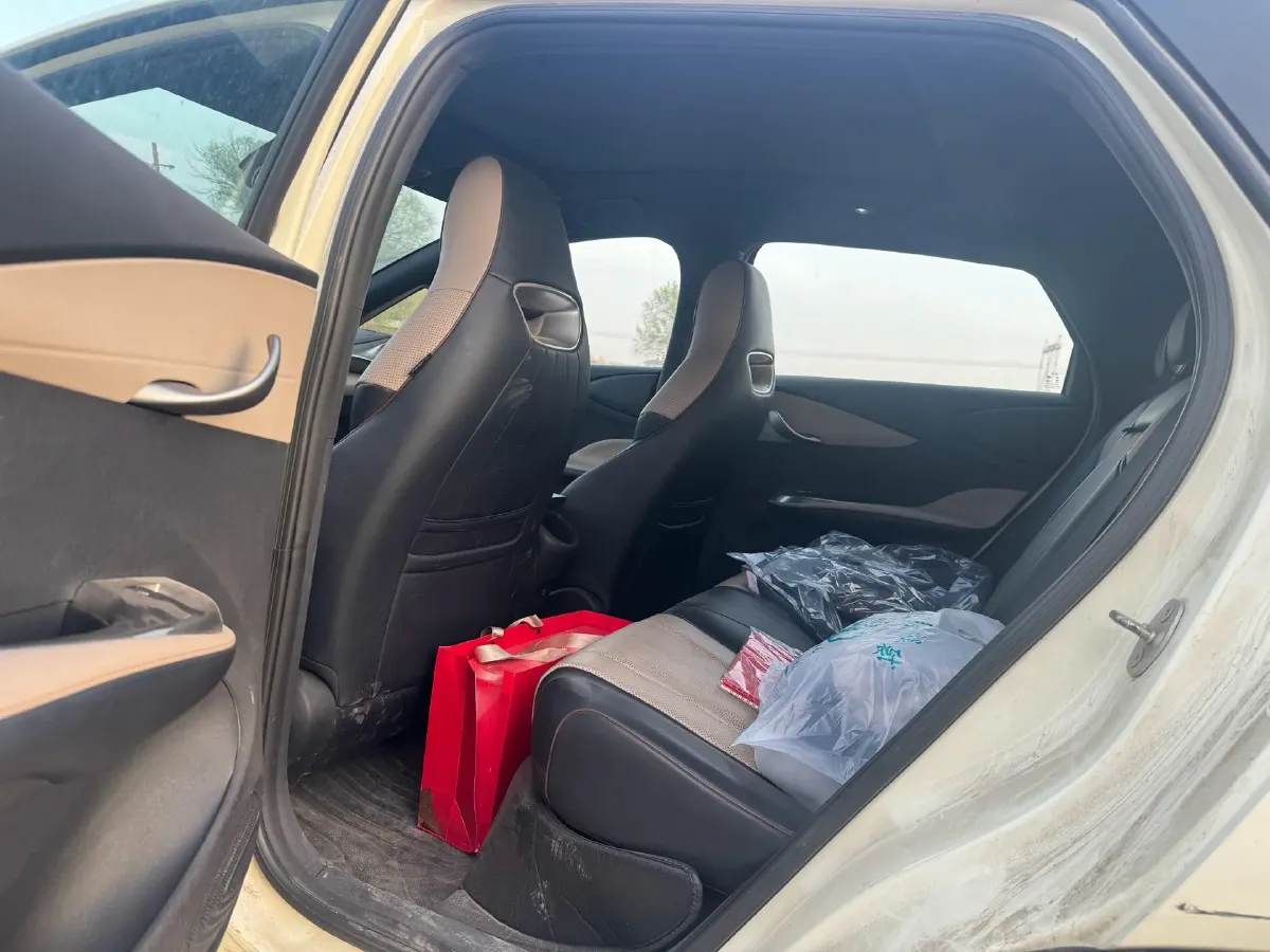 2023 BYD Dolphin BEV 44.928KWH,autocango,china used car exporter,china ev exporter,chinese used car exporter,chinese used ev exporter