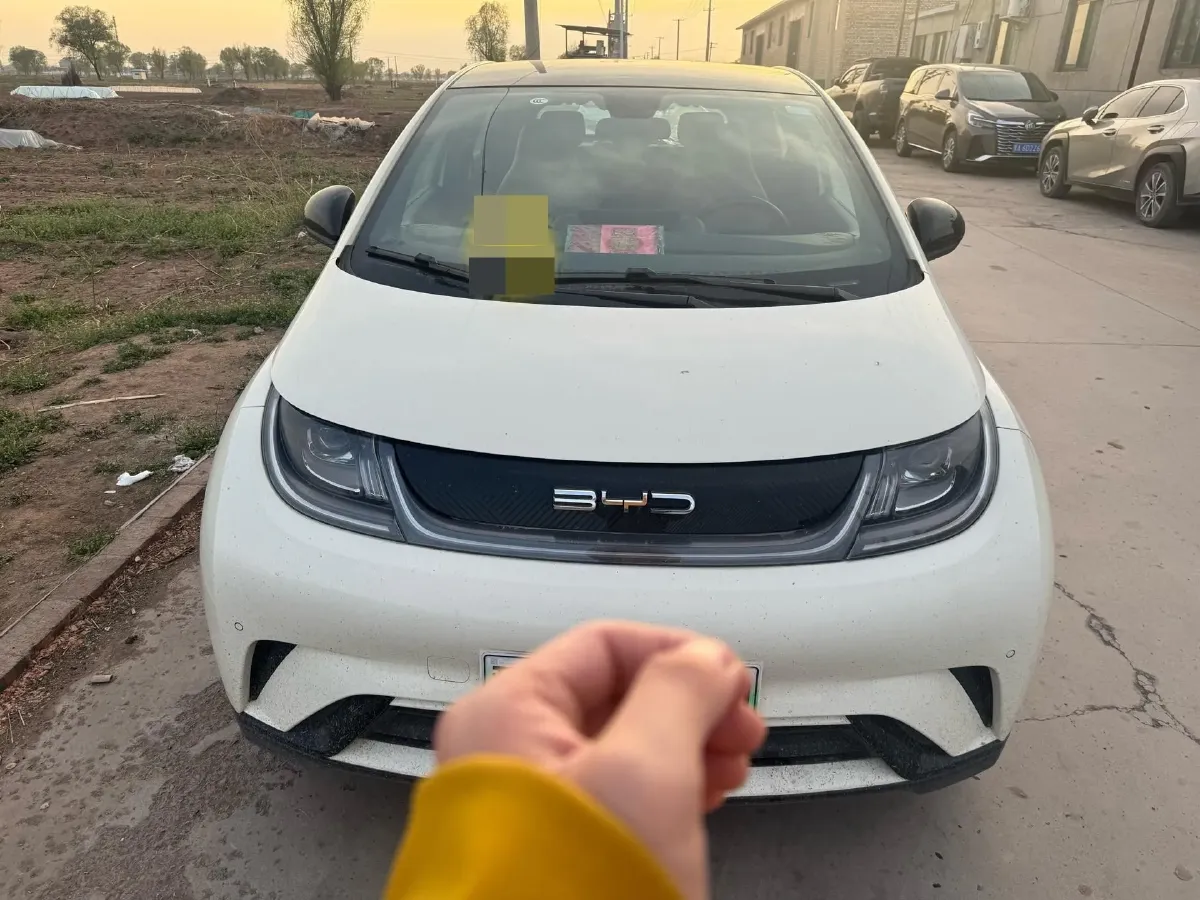 2023 BYD Dolphin BEV 44.928KWH,autocango,china used car exporter,china ev exporter,chinese used car exporter,chinese used ev exporter