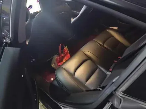 2020 Tesla Model 3 BEV 55KWH,autocango,china used car exporter,china ev exporter,chinese used car exporter,chinese used ev exporter