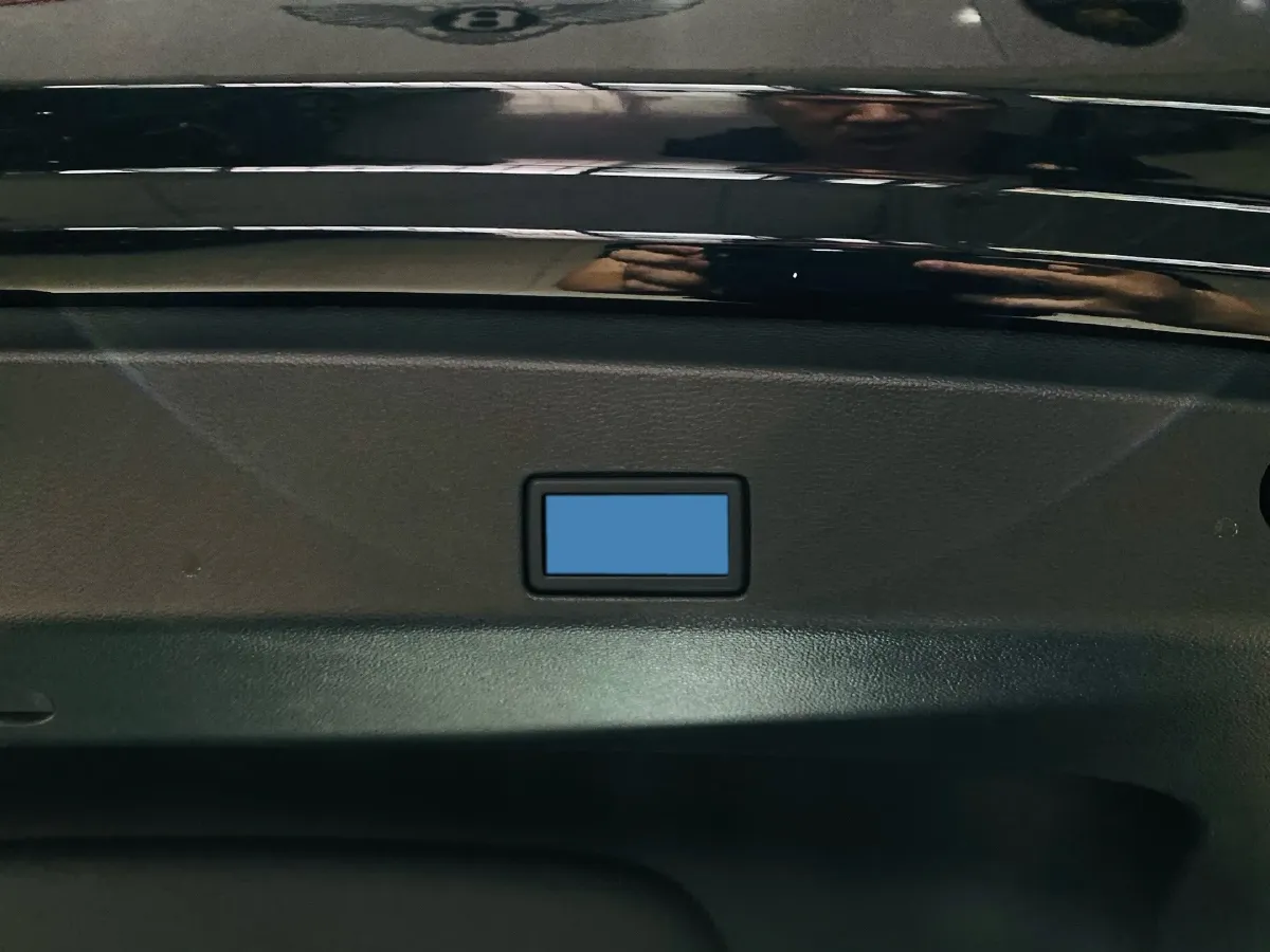 2025 Volkswagen Passat 2.0T 220HP L4 7DCT,autocango,china used car exporter,china ev exporter,chinese used car exporter,chinese used ev exporter