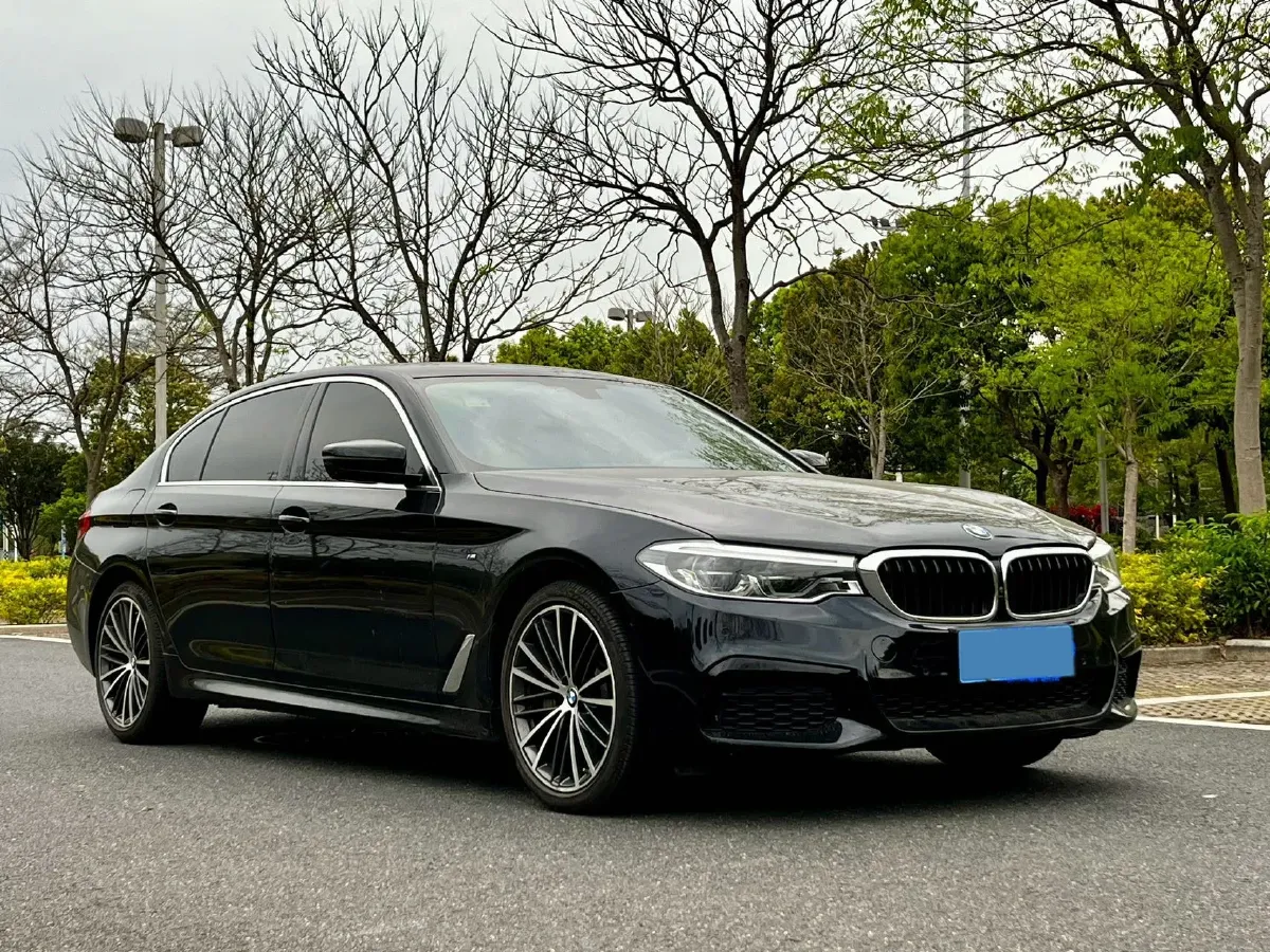 2020 BMW 5 Series 2.0T 252HP L4 8AT,autocango,china used car exporter,china ev exporter,chinese used car exporter,chinese used ev exporter