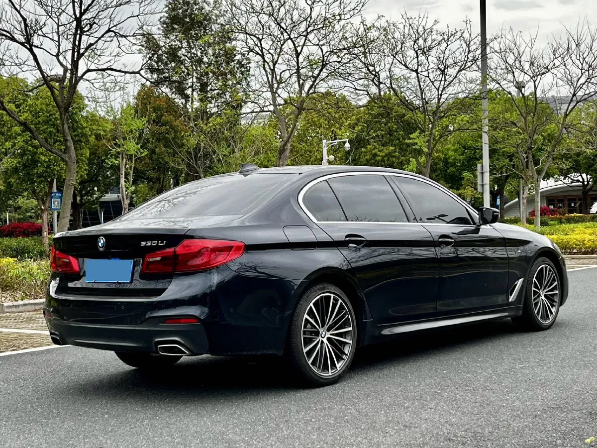 2020 BMW 5 Series 2.0T 252HP L4 8AT,autocango,china used car exporter,china ev exporter,chinese used car exporter,chinese used ev exporter