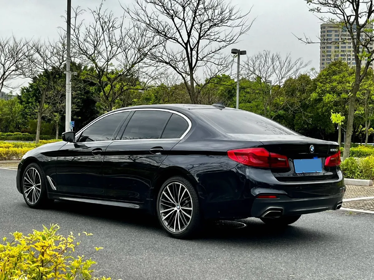 2020 BMW 5 Series 2.0T 252HP L4 8AT,autocango,china used car exporter,china ev exporter,chinese used car exporter,chinese used ev exporter