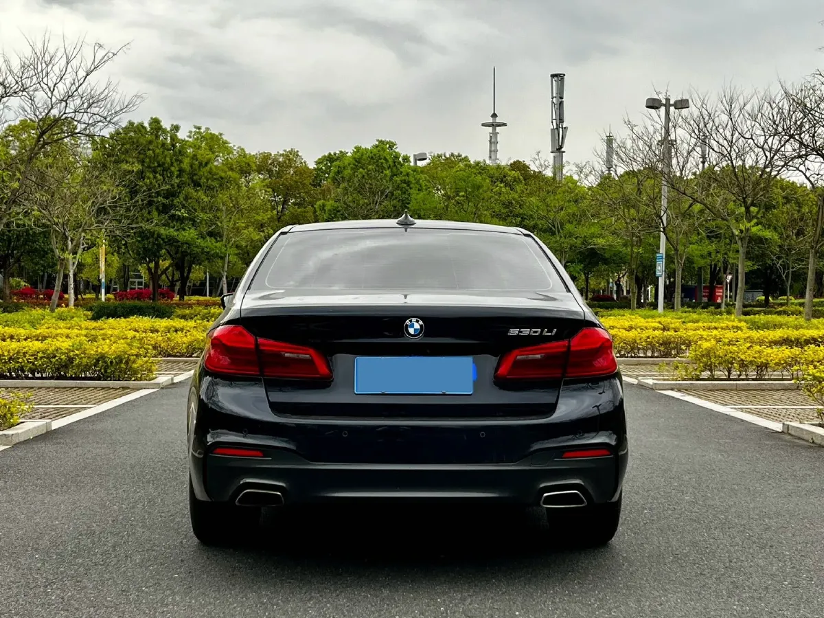 2020 BMW 5 Series 2.0T 252HP L4 8AT,autocango,china used car exporter,china ev exporter,chinese used car exporter,chinese used ev exporter
