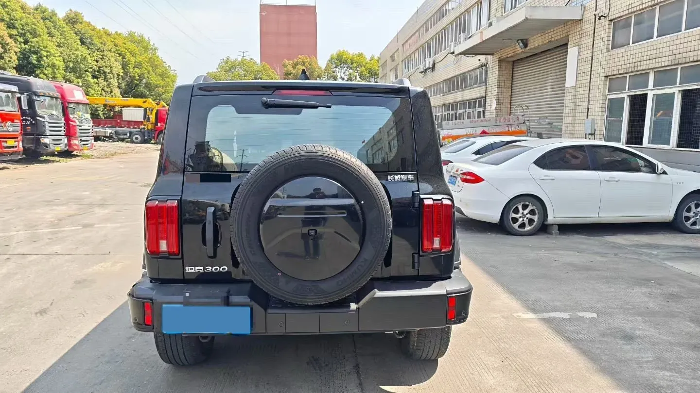 2024 Tank 300 2.0T 227HP L4 8AT,autocango,china used car exporter,china ev exporter,chinese used car exporter,chinese used ev exporter